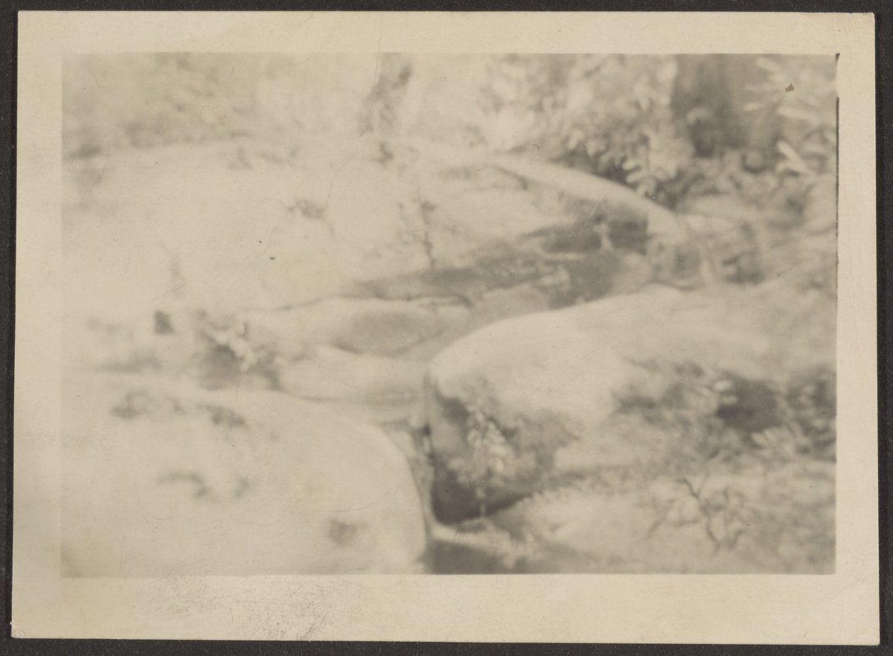 [Paysage] - Louis Fleckenstein