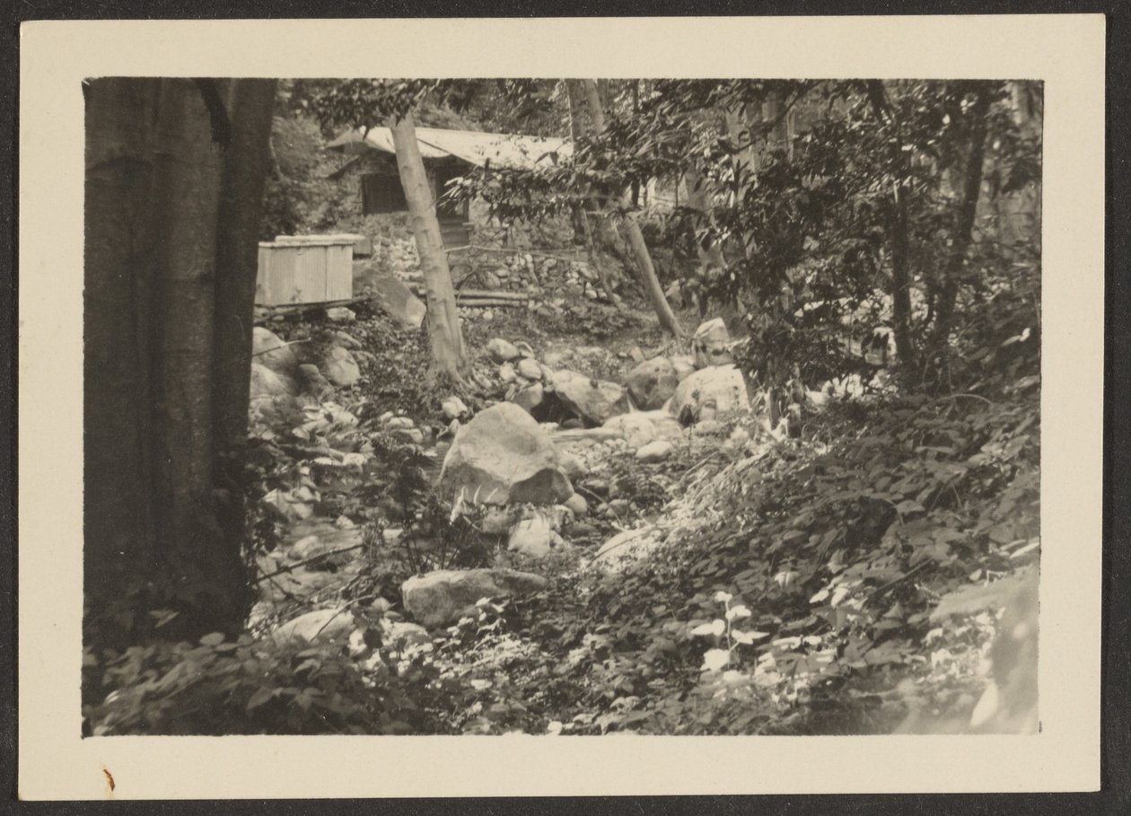 [Paysage] - Louis Fleckenstein