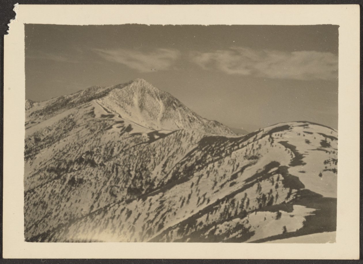 [Paysage] - Louis Fleckenstein