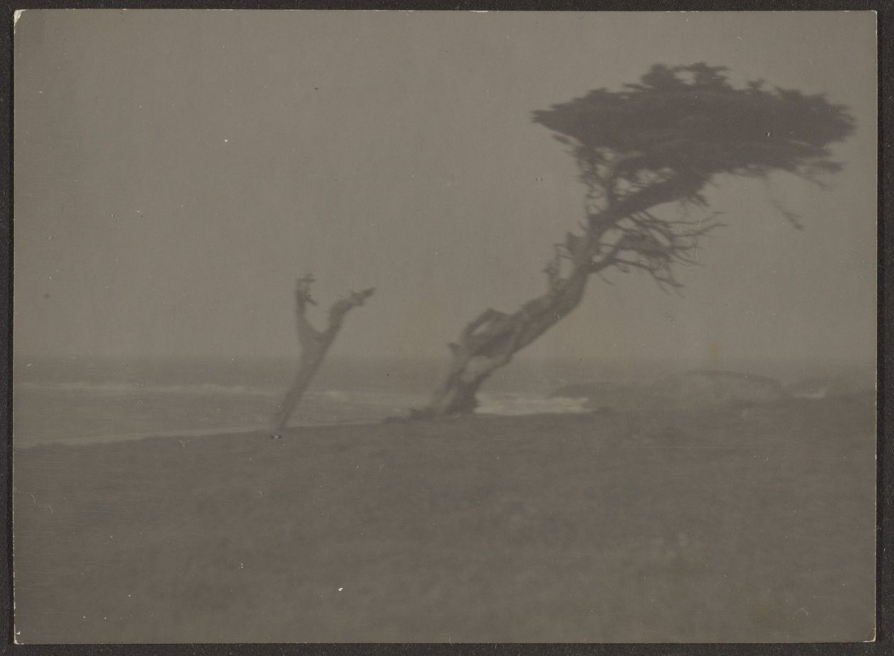 [Paysage] - Louis Fleckenstein