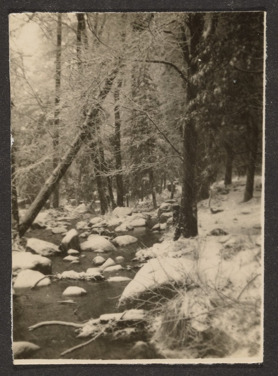 [Paysage] - Louis Fleckenstein