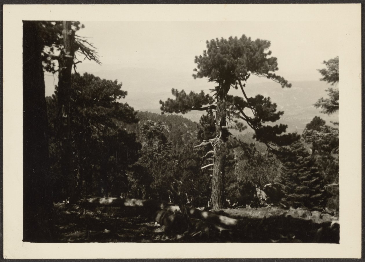 [Paysage] - Louis Fleckenstein