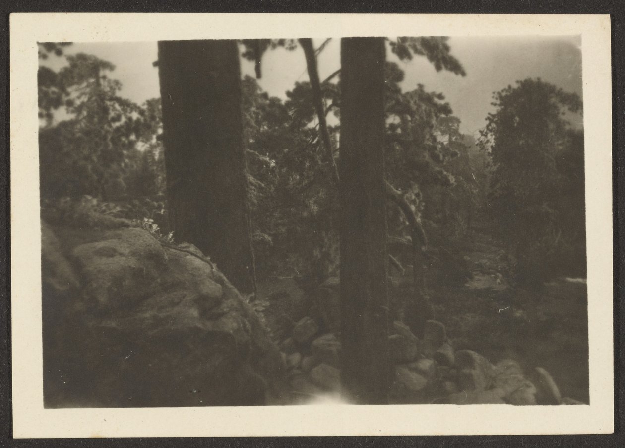 [Paysage] - Louis Fleckenstein
