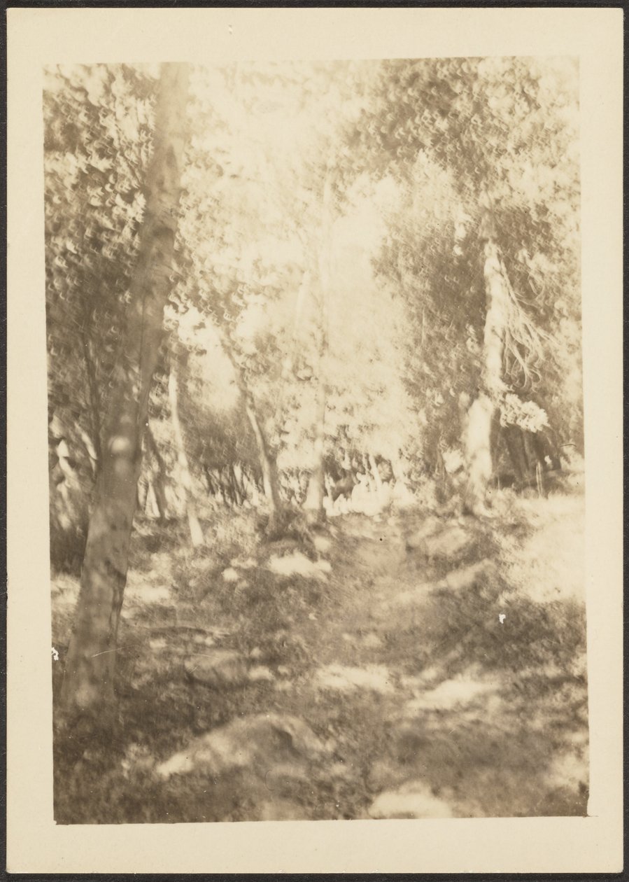 [Paysage avec cerfs sauvages] - Louis Fleckenstein