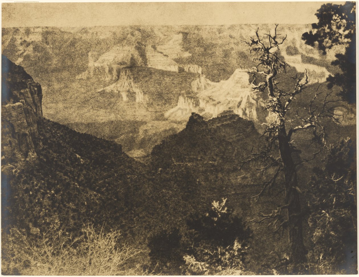 [Paysage montagneux avec arbre dénudé] - Louis Fleckenstein