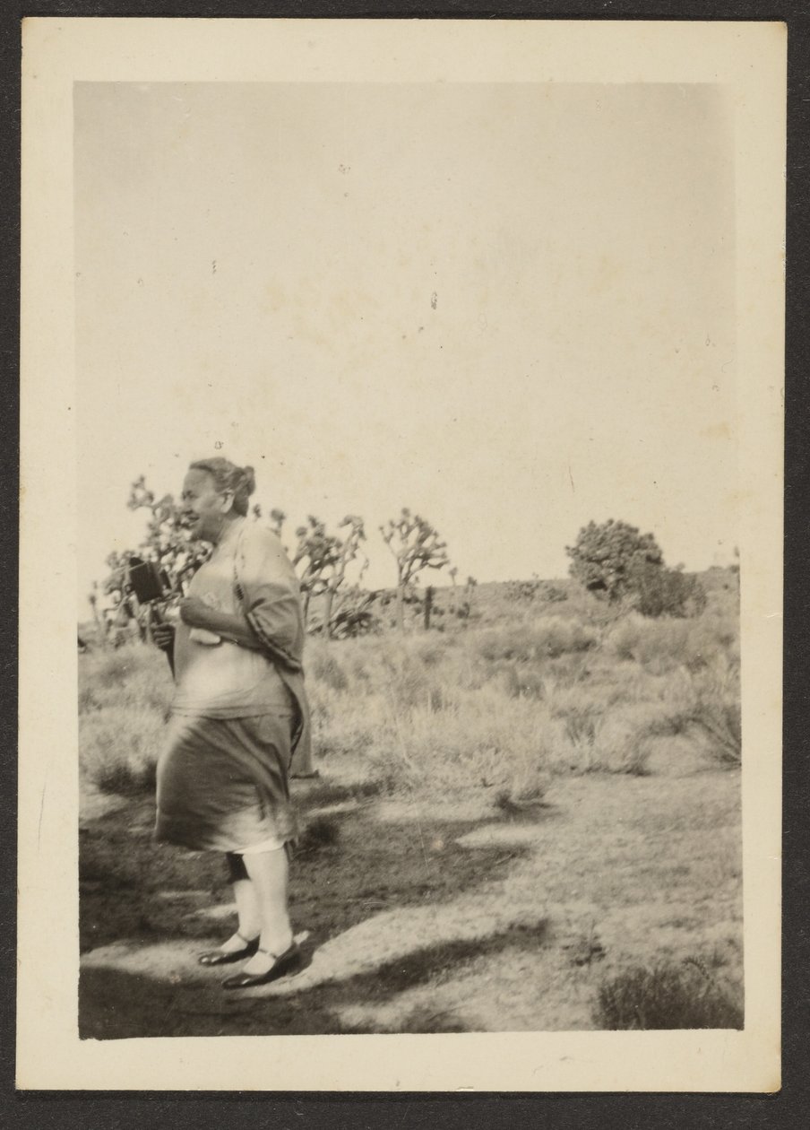 [Mme Fleckenstein dans Paysage] - Louis Fleckenstein