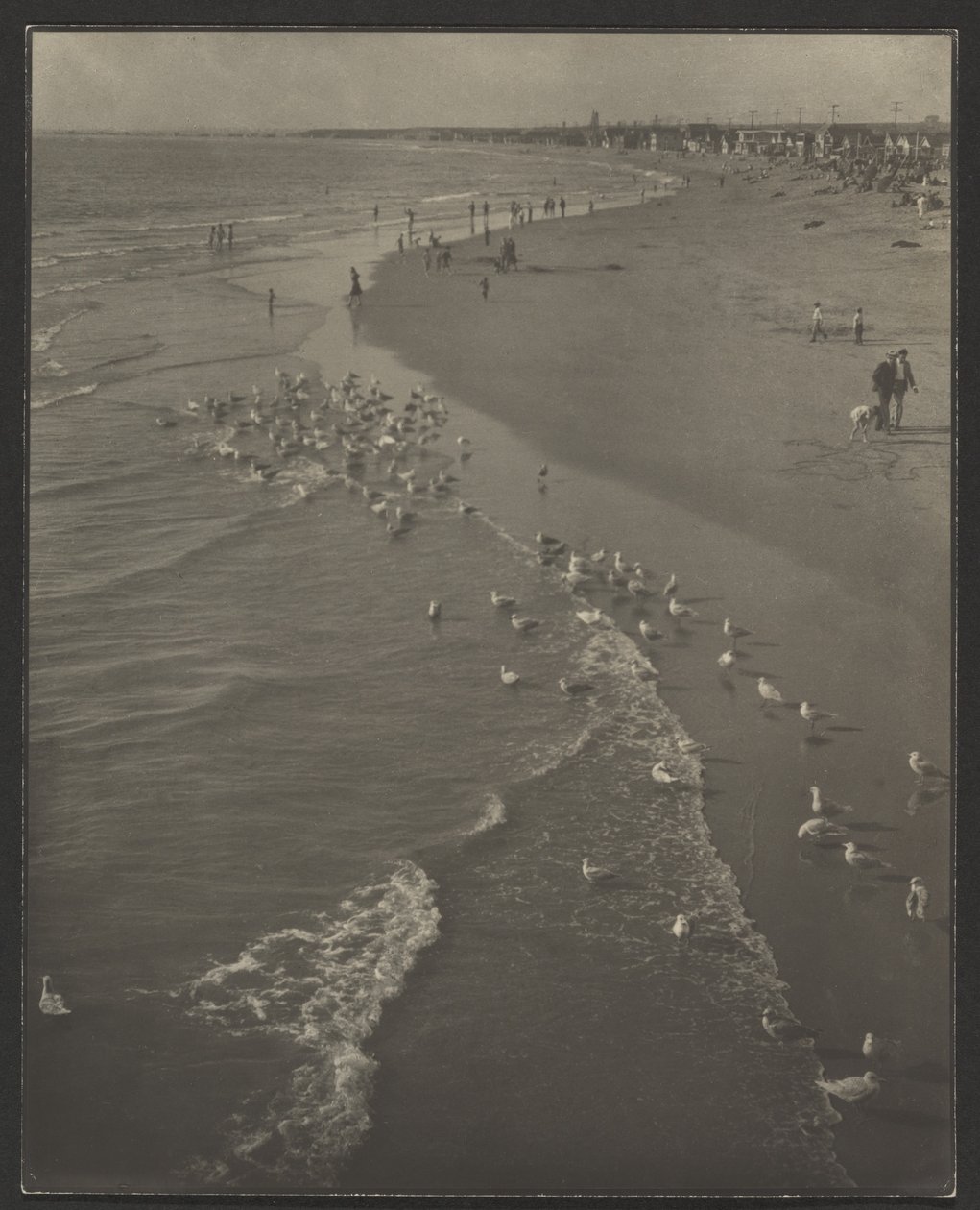Newport Beach - Louis Fleckenstein