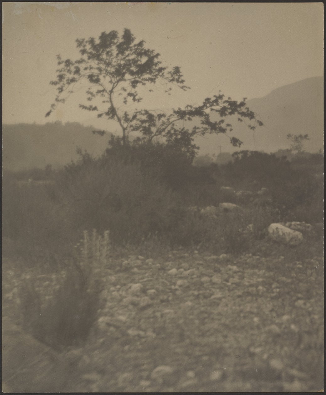 [Paysage rocheux] - Louis Fleckenstein