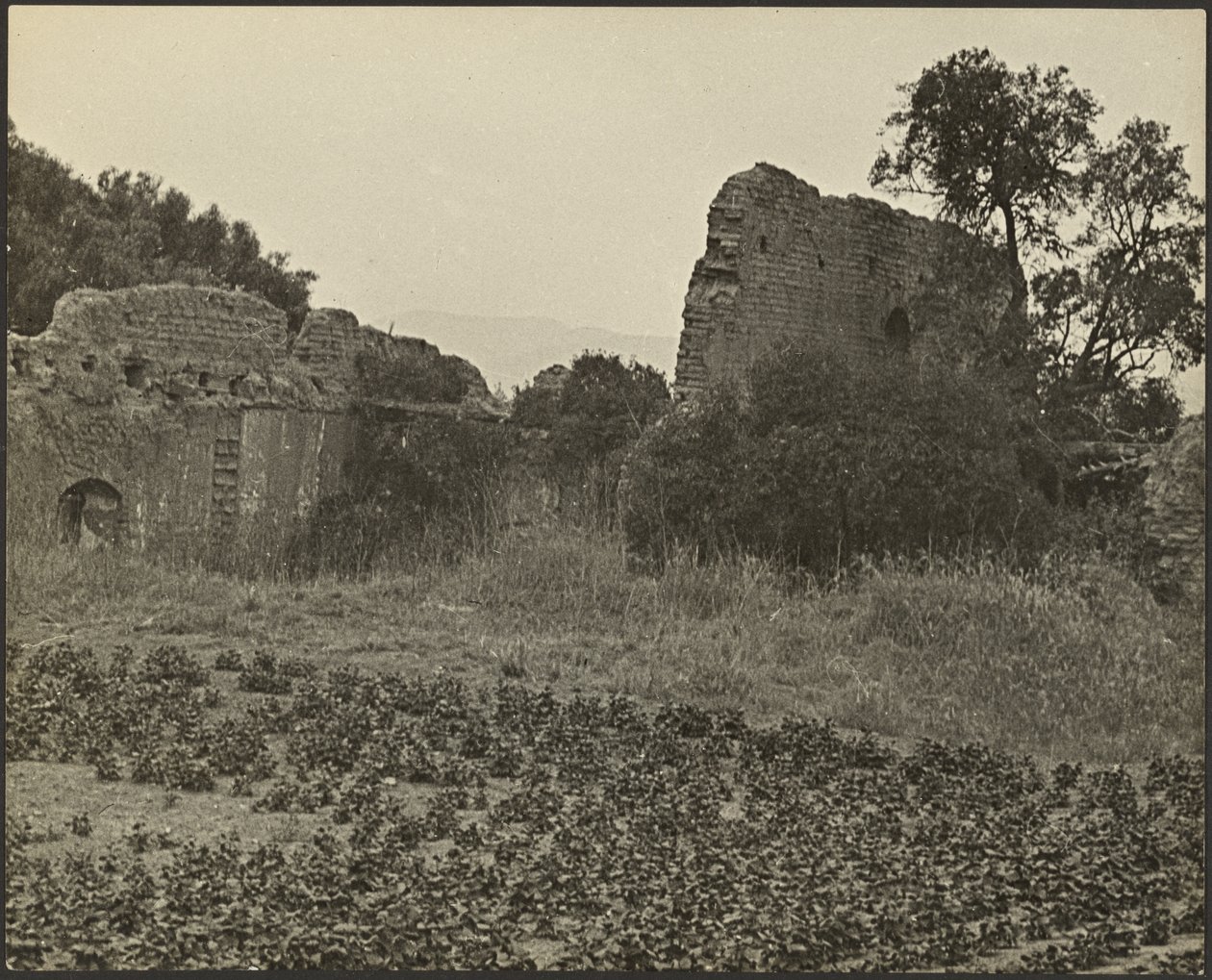 Ruines de la mission Purisima Concepcion - Louis Fleckenstein