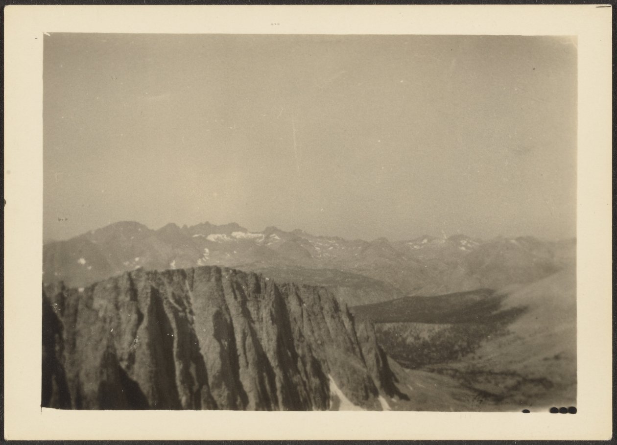 [Sequoia Park] - Louis Fleckenstein
