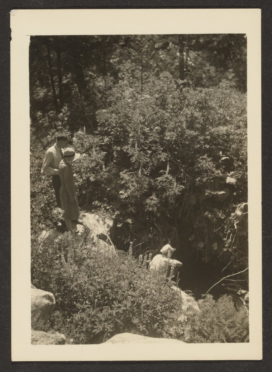 [Printemps à Fern Valley] - Louis Fleckenstein