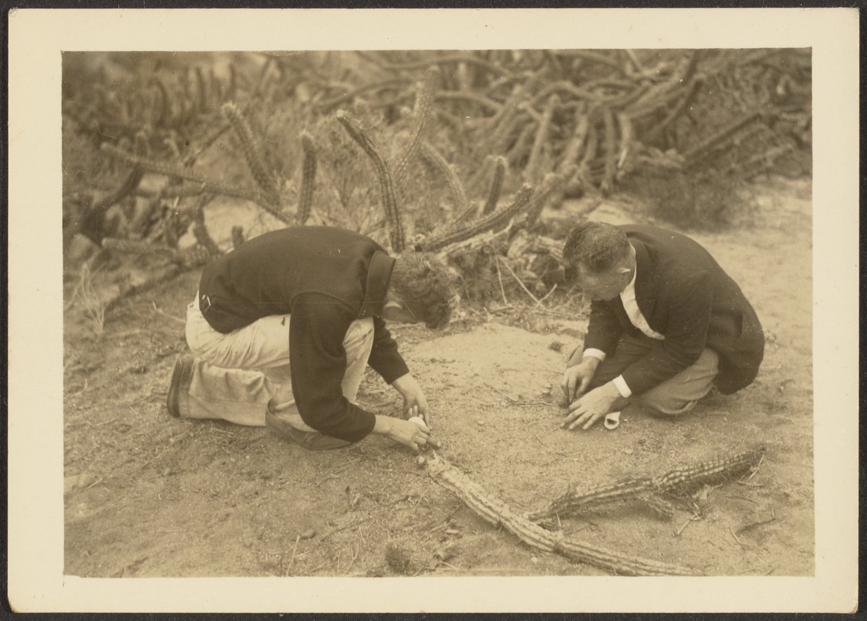 [Deux hommes et un cactus] - Louis Fleckenstein