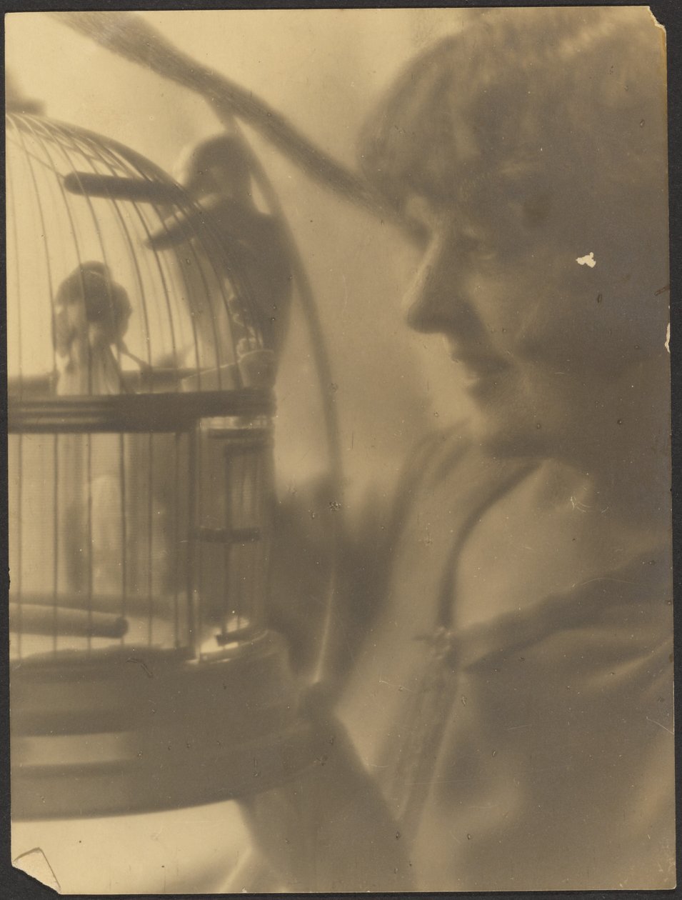 [Femme avec cage à oiseaux] - Louis Fleckenstein