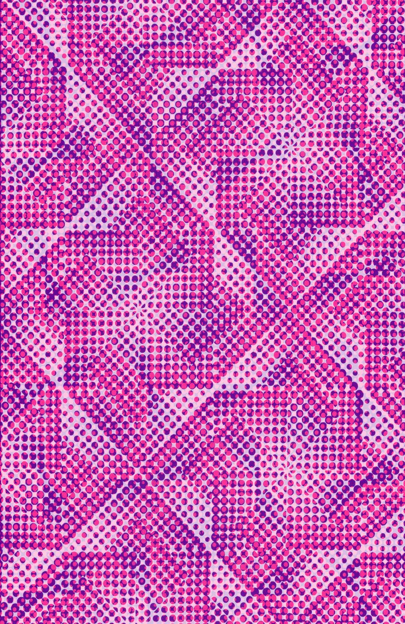 Dotty - Louisa Hereford