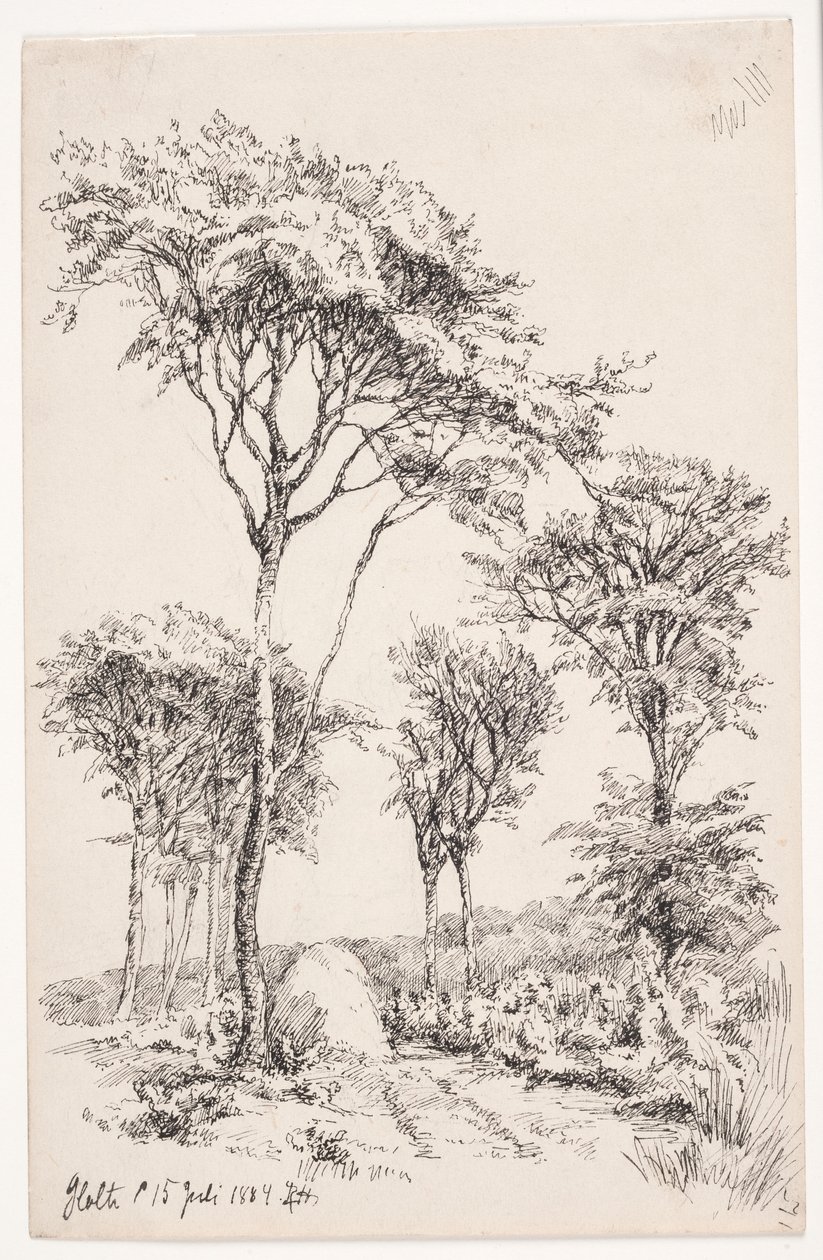 Paysage forestier avec arbres isolés - Louise Ravn Hansen