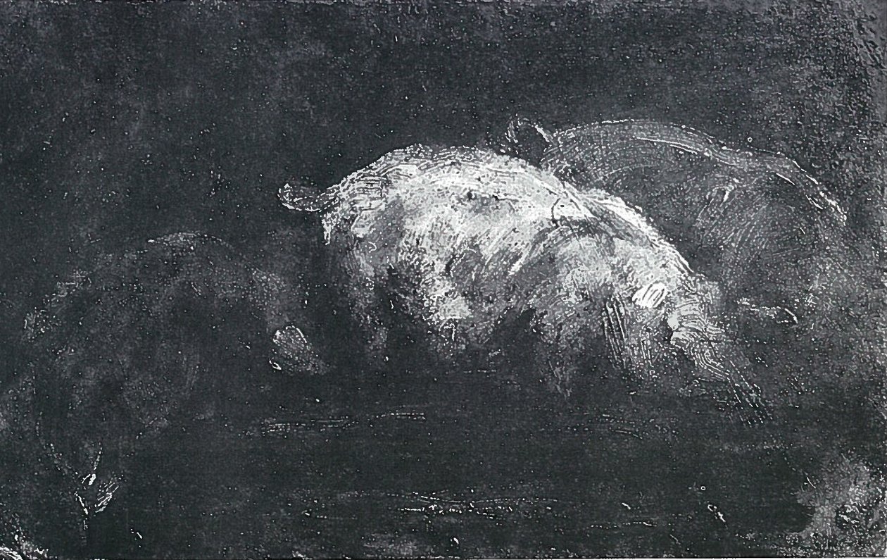Cochons mangeant - Lovis Corinth