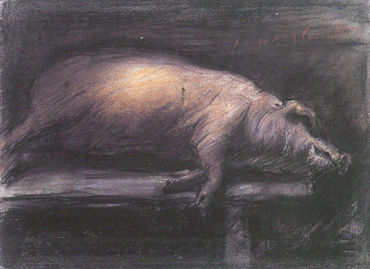 Cochon abattu - Lovis Corinth