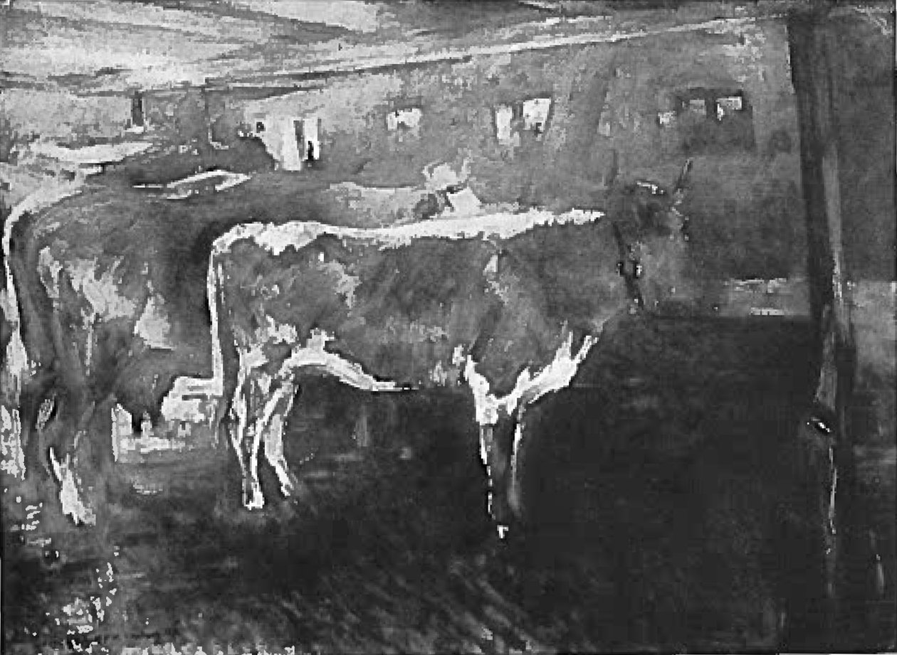 Vaches dans l