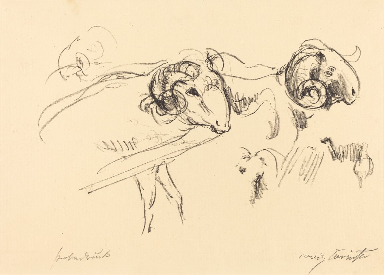 Béliers - Lovis Corinth