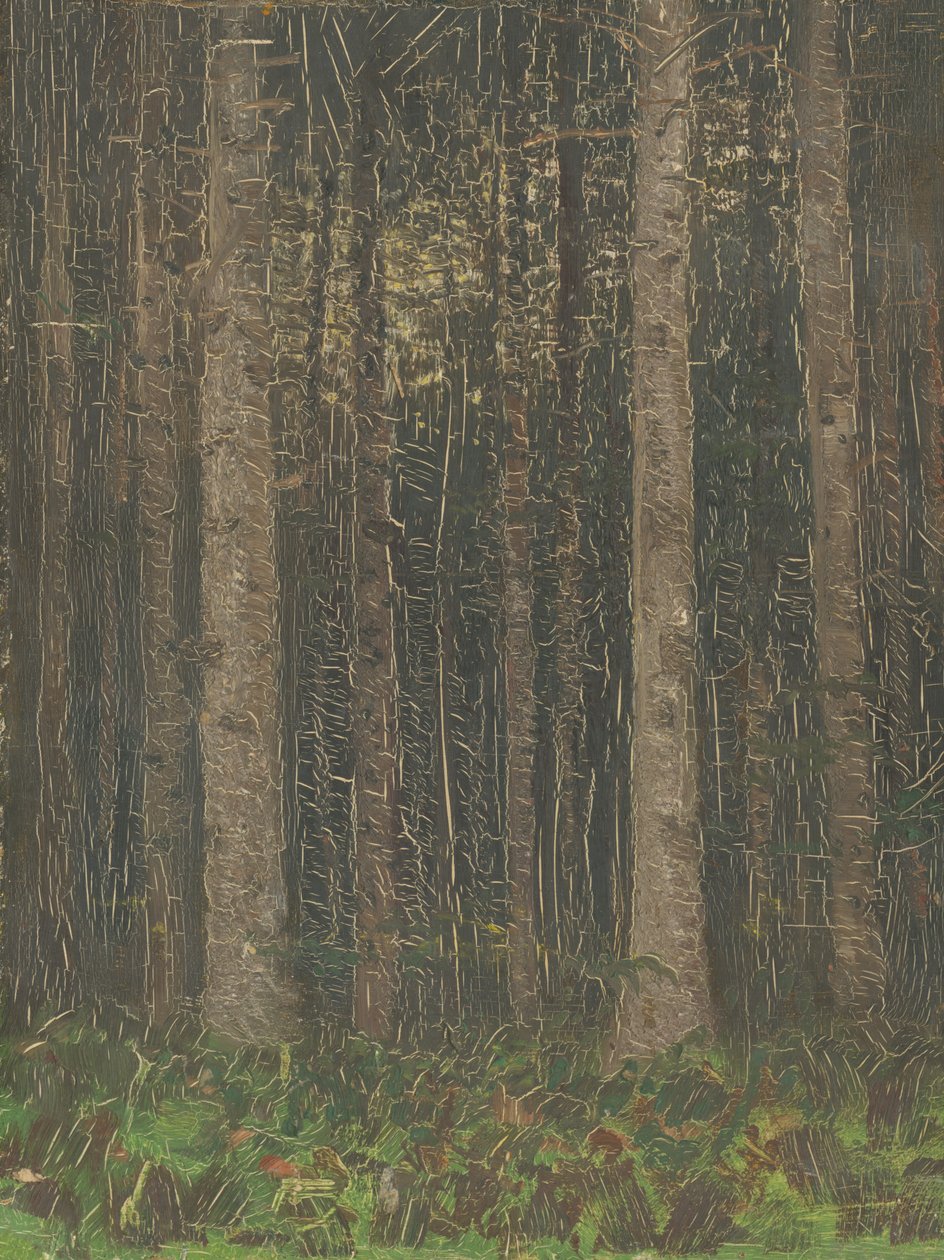 Intérieur de la forêt - Laszlo Mednyanszky