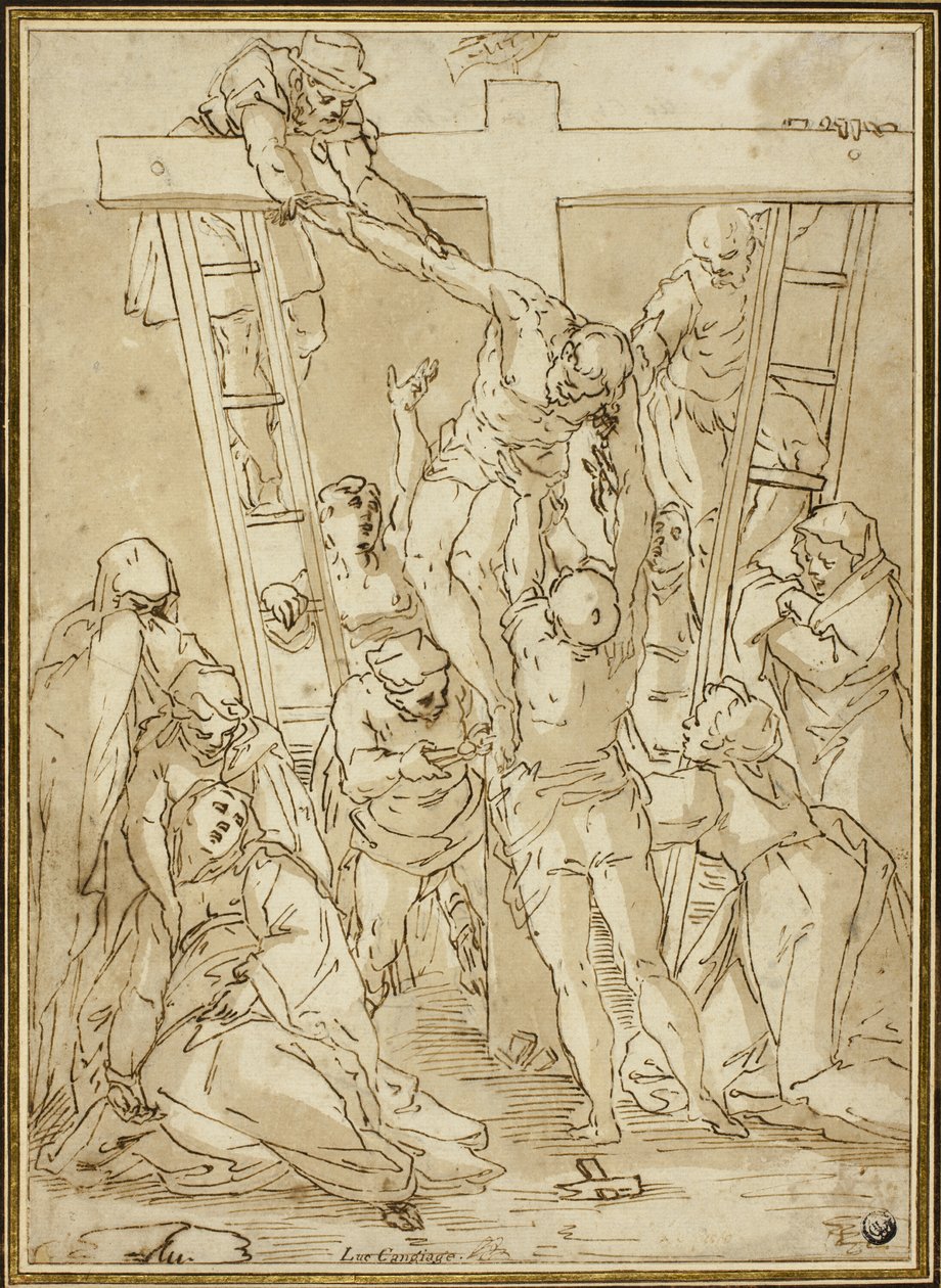 Dépôt - Luca Cambiaso