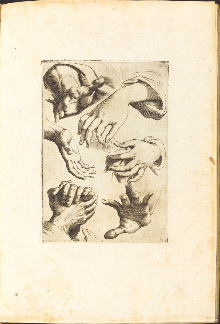 Impression du livre de dessins - Luca Ciamberlano