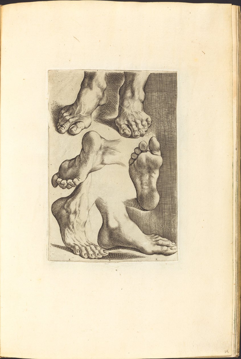 Impression du livre de dessin - Luca Ciamberlano