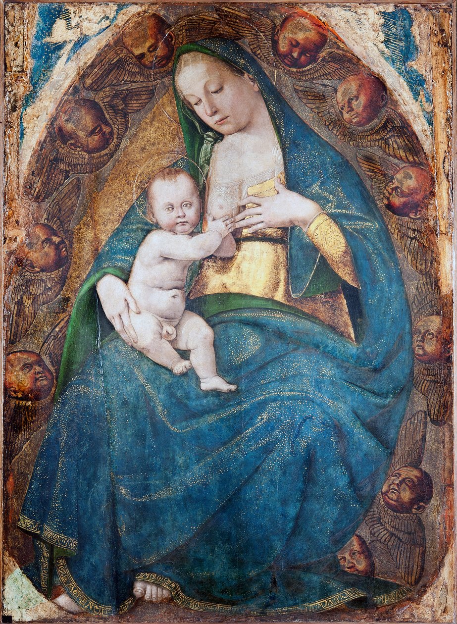 Vierge allaitante, 1482-1485 - Luca Signorelli