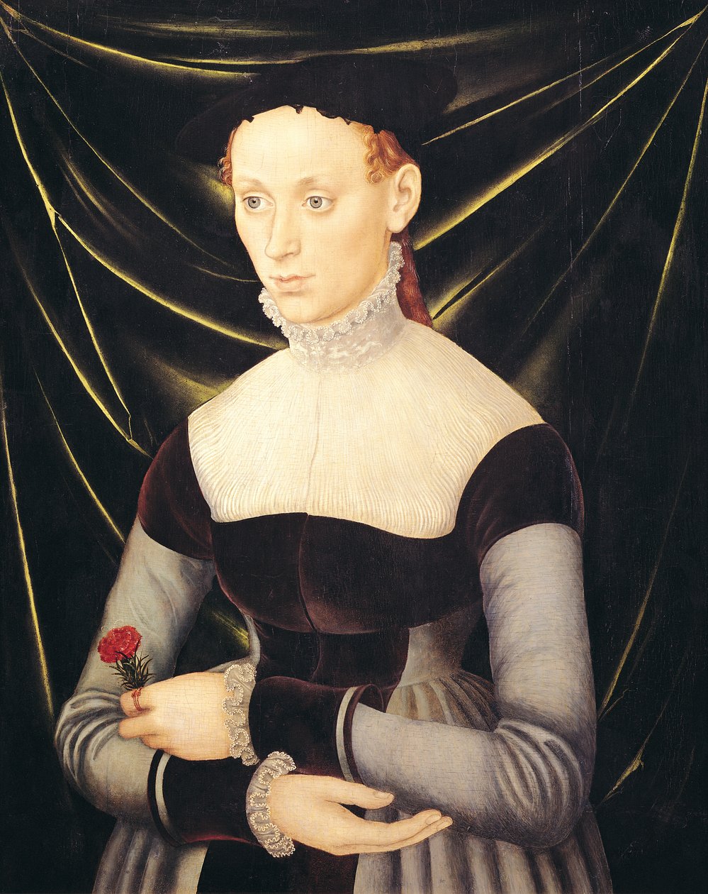 Femme avec un œillet - Lucas Cranach the Elder
