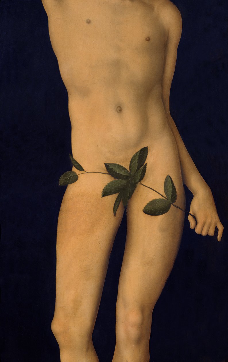Adam, 1528 (détail) - Lucas Cranach the Elder