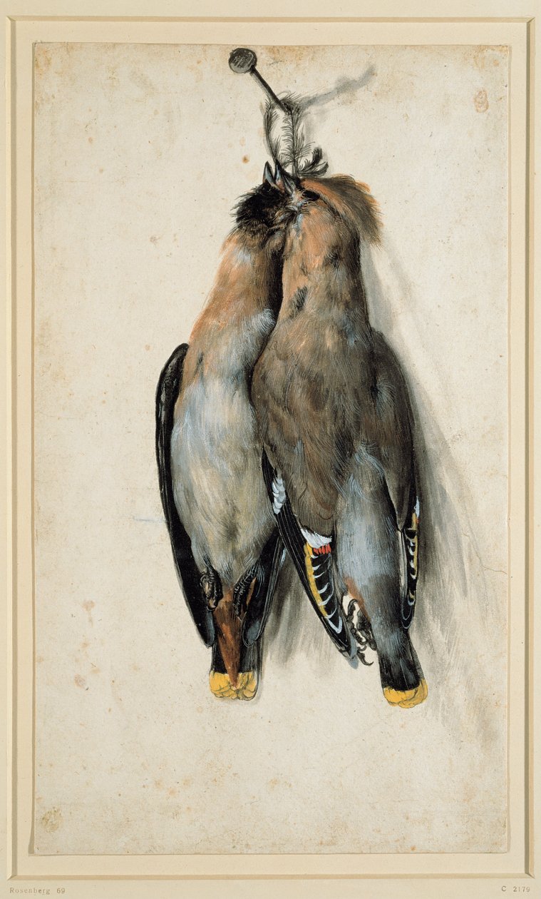 Deux jaseurs de Bohême morts - Lucas Cranach the Elder