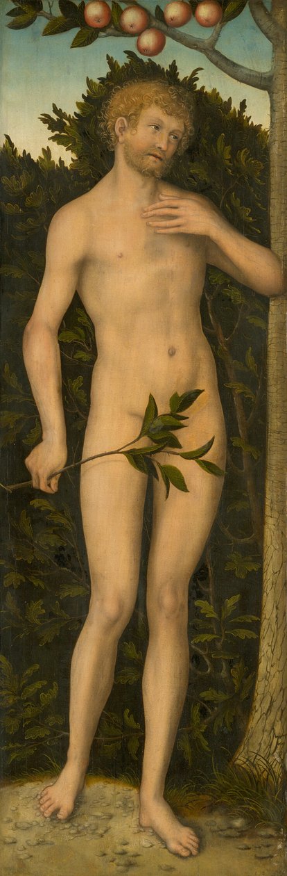 Adam - Lucas Cranach the Elder