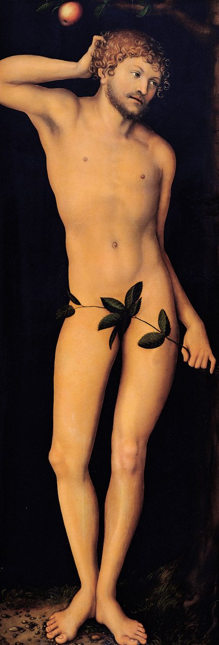 Adam - Lucas Cranach the Elder