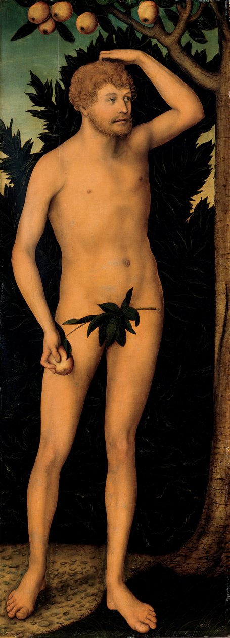 Adam, après 1537 - Lucas Cranach the Elder
