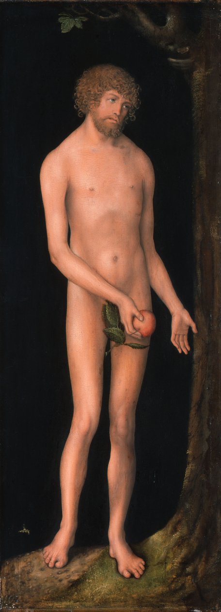 Allemand : Adam Adam - Lucas Cranach the Elder