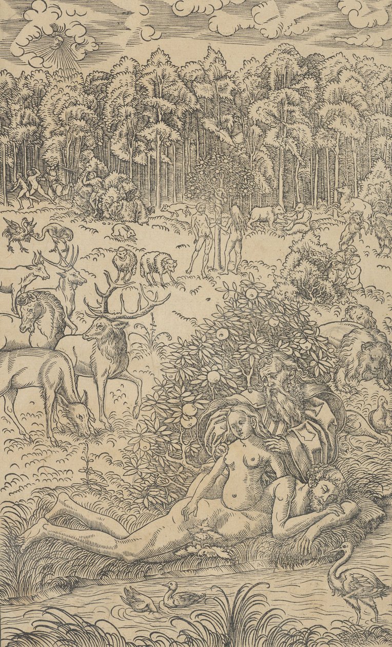 La Création d