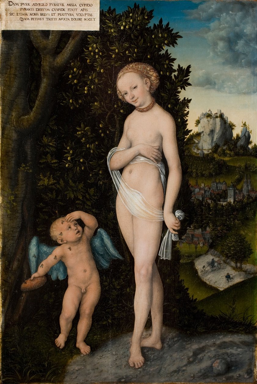Vénus avec Cupidon volant du miel - Lucas the Elder Cranach