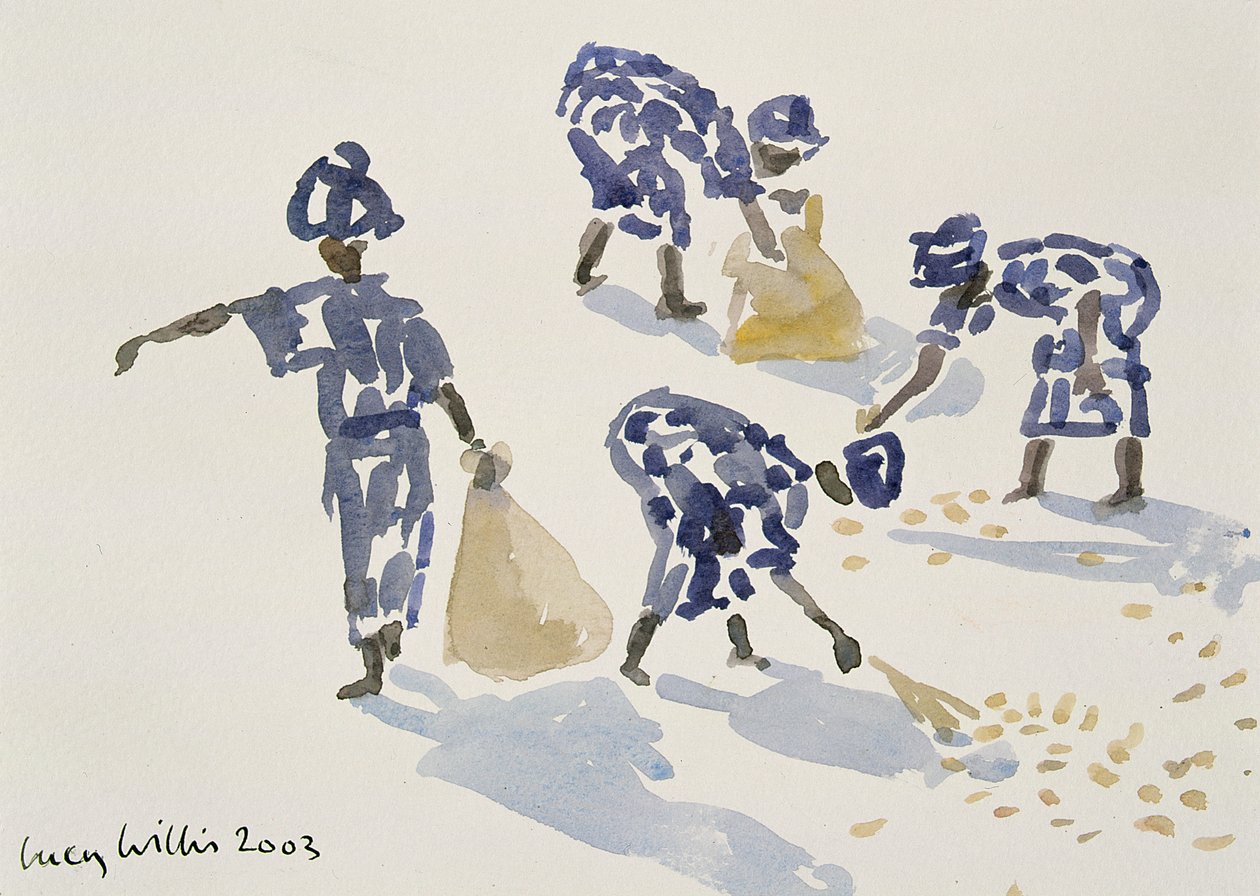 Ramassage des feuilles, Sénégal, 2003 - Lucy Willis