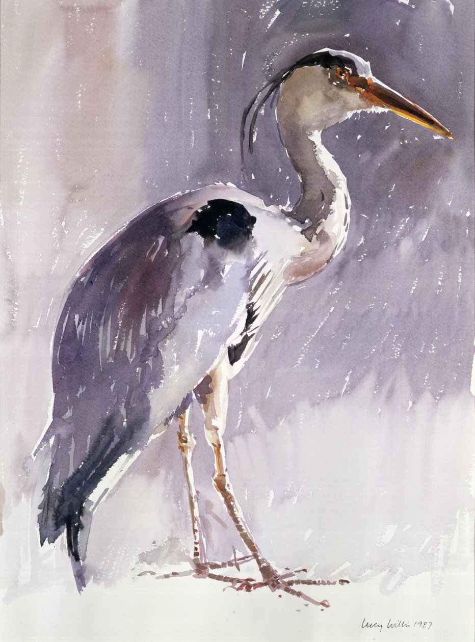 Héron cendré, 1987 - Lucy Willis