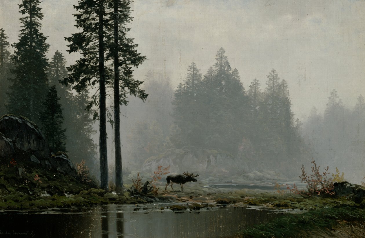 Brouillard d