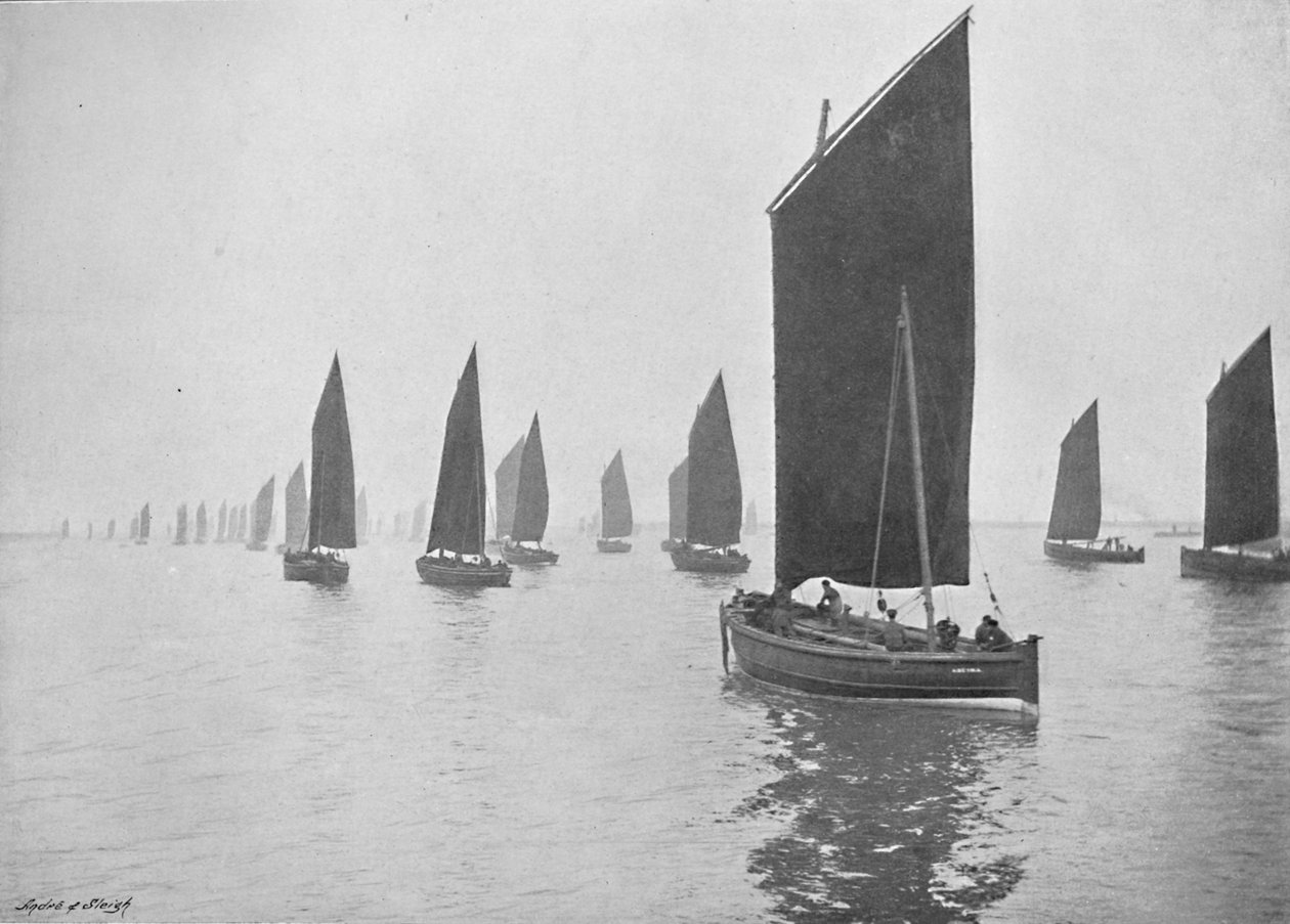 Bateaux de harengs au large du Tyne, vers 1896 - M. Aunty