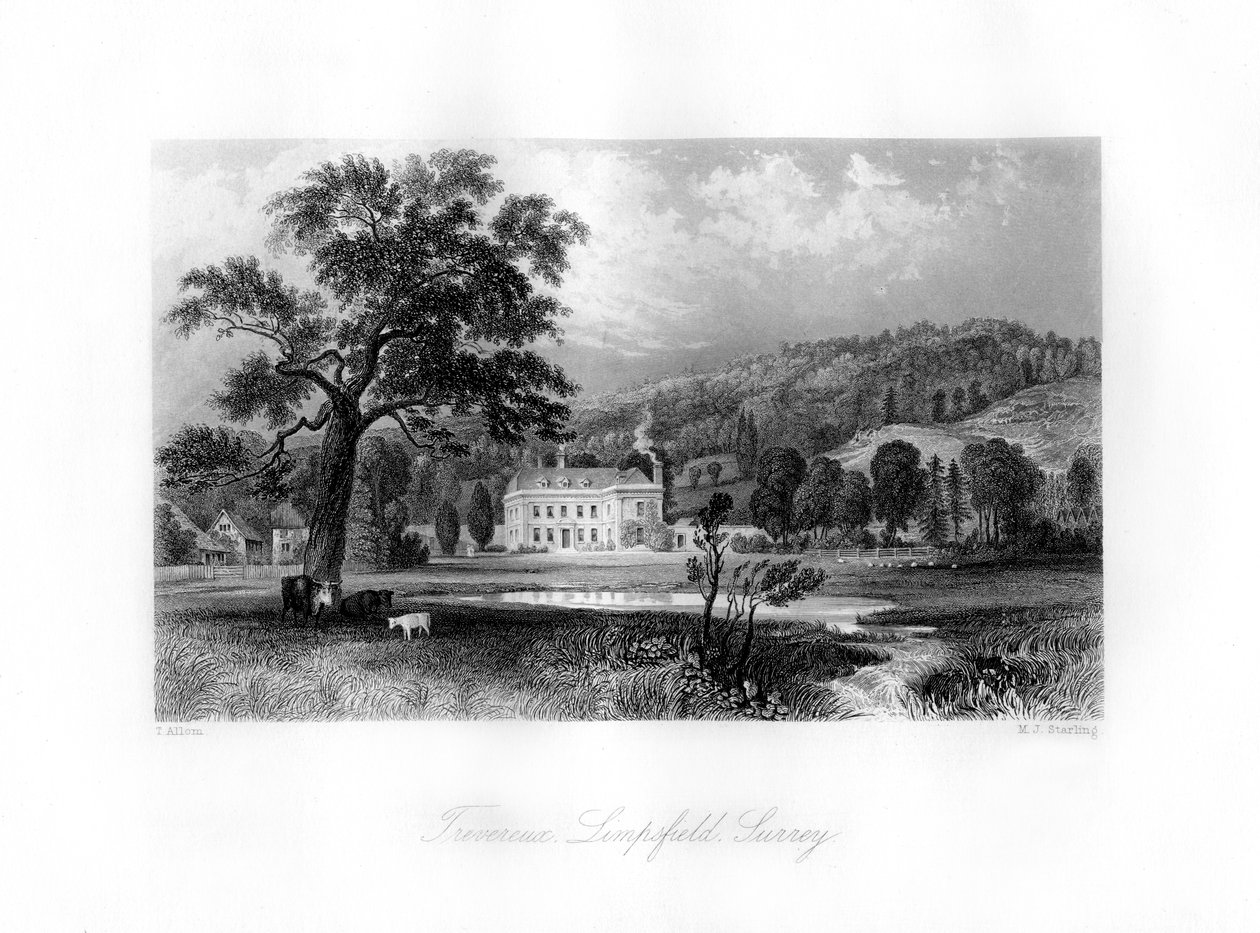 Trevereux, Limpsfield, Surrey, 19ème siècle - M. J. Starling