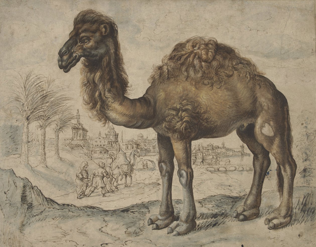 Dromadaire dans un paysage oriental avec une ville, 1600 (encre et pinceau sur papier) - Maarten de after Vos