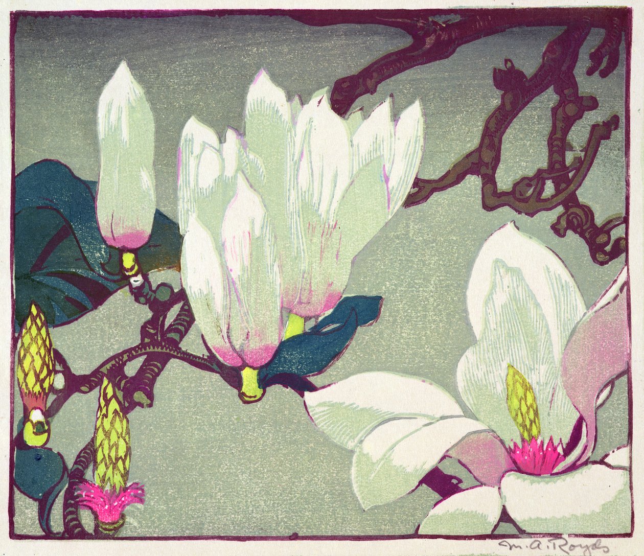 Magnolia, c.1925 - Mabel Royds