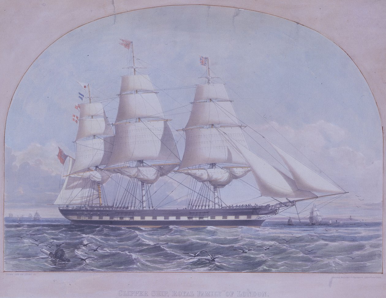 Clipper 