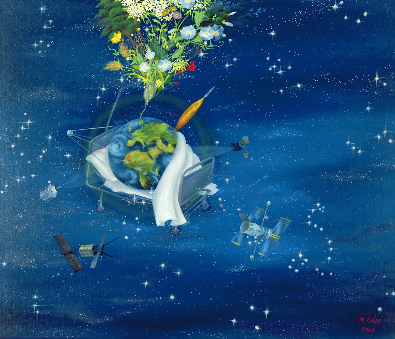 Terre malade - Magdolna Ban
