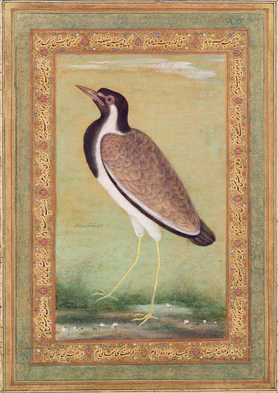 Vanneau indien, vers 1800 - Mansur