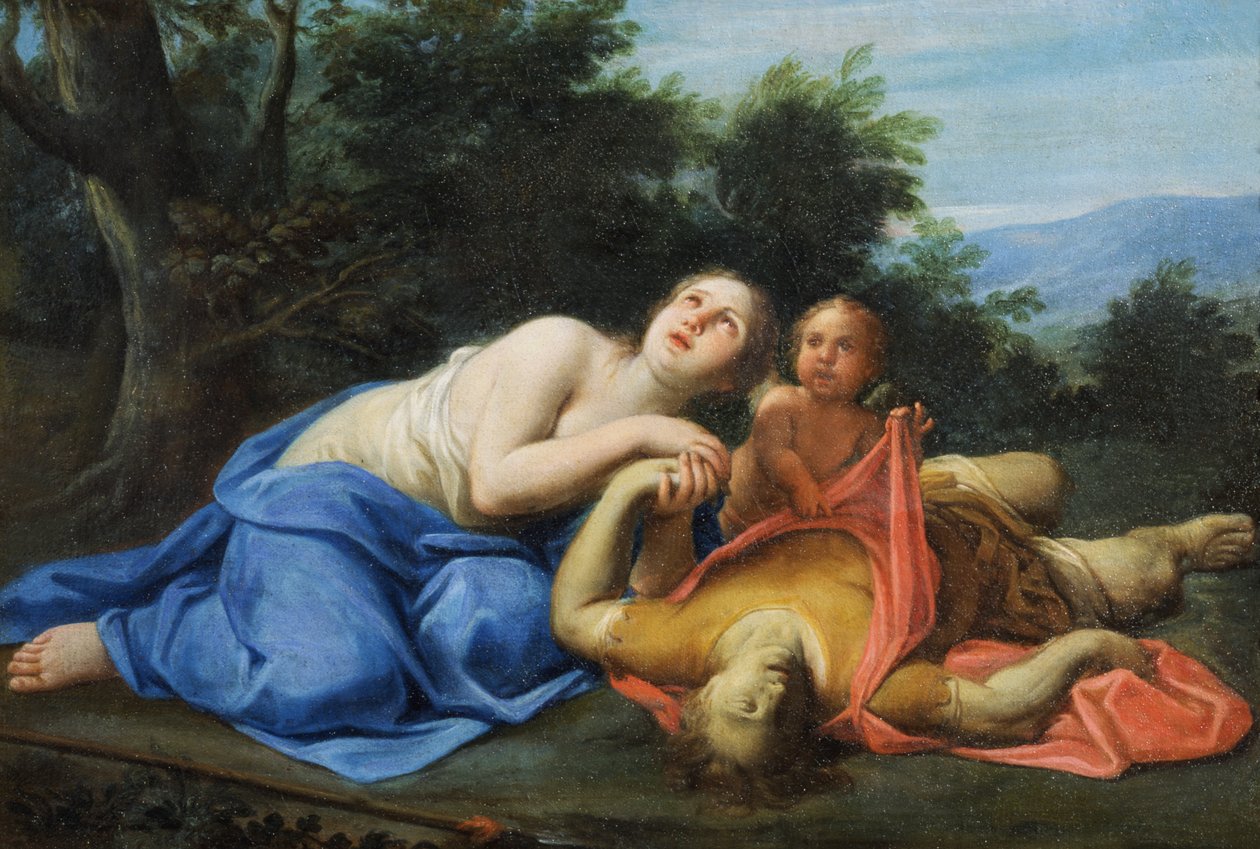 Image Inconnue - Marcantonio Franceschini