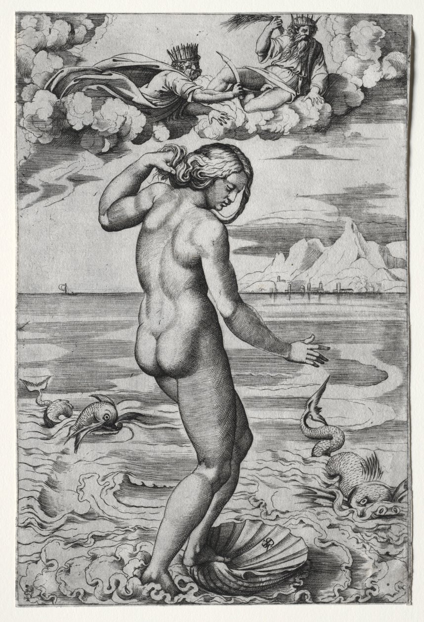 La Naissance de Vénus - Marco Dente