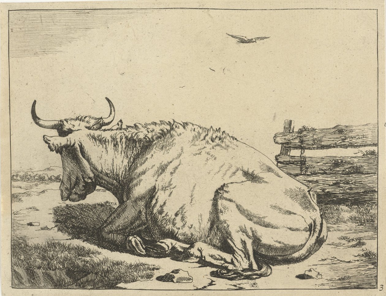Vache couchée près d